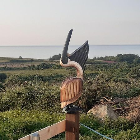 A Piece Of Oceanfront Heaven Holiday Home Sleeps 6 Drumaville 외부 사진